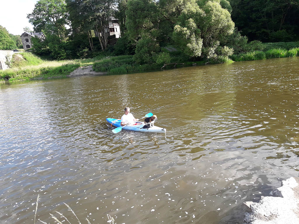Descente de kayak sur la Semois dans les Ardennes
